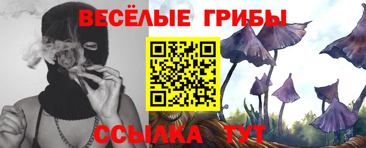 Ливны  Псилоцибиновые грибы Psilocybine cubensis  Вход с VPN 